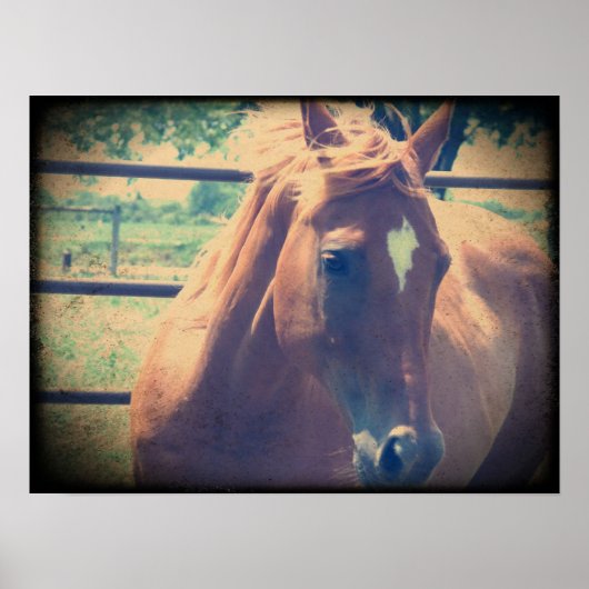 ヴィンテージサレル ポスター (正面)