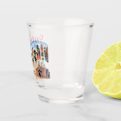 ヴィンテージサンアントニオ、テキサス州旅行 ショットグラス (右)