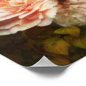 ヴィンテージサンゴバラ ポスター (角)