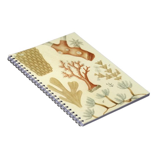 ヴィンテージサンゴ動物科学教科教科書生物学 ノートブック (右側)