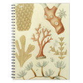 ヴィンテージサンゴ動物科学教科教科書生物学 ノートブック (正面)