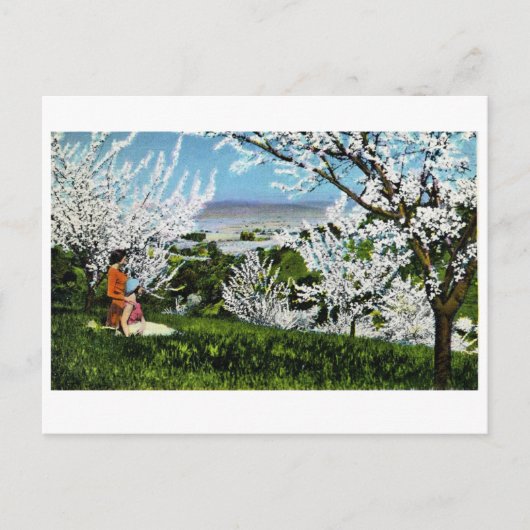 ヴィンテージサンタクララバレーポストカード ポストカード (正面)