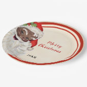 ヴィンテージサンタクリスマスパーティー ペーパープレート (アングル)