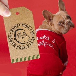 ヴィンテージサンタクロース北極デリバリークリスマス セルフインキングスタンプ