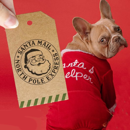 ヴィンテージサンタクロース北極デリバリークリスマス セルフインキングスタンプ