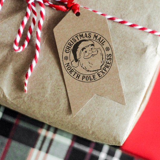 ヴィンテージサンタクロース北極デリバリークリスマス セルフインキングスタンプ