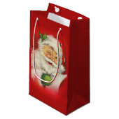 ヴィンテージサンタクロース スモールペーパーバッグ (正面アングル)