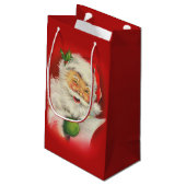 ヴィンテージサンタクロース スモールペーパーバッグ (裏面アングル)