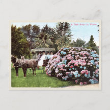 ヴィンテージサンディエゴ葉書ビクトリアン時代