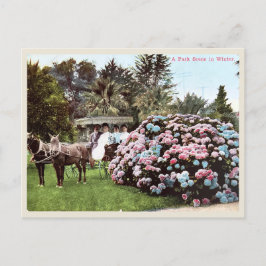 ヴィンテージサンディエゴ葉書ビクトリアン時代 ポストカード