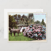 ヴィンテージサンディエゴ葉書ビクトリアン時代 ポストカード (正面/裏面)