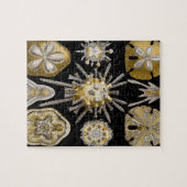 ヴィンテージサンドダラーシーウルチンスバイエルンストヘッケル ジグソーパズル (横)