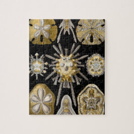 ヴィンテージサンドダラーシーウルチンスバイエルンストヘッケル ジグソーパズル