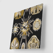 ヴィンテージサンドドルシーウルチンズバイエルンストヘッケル スクエア壁時計 (傾斜)