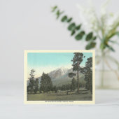 ヴィンテージサンフランシスコピークス ポストカード (スタンド正面)