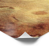 ヴィンテージサン ポスター (コーナー)