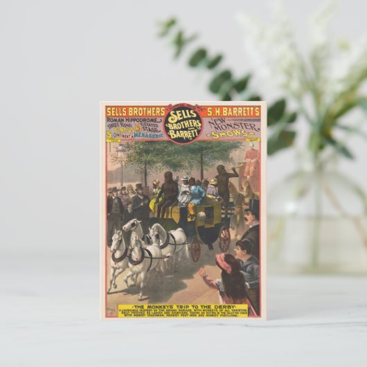 ヴィンテージサーカスのポスター、モンキー駆動コーチ ポストカード (スタンド正面)