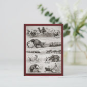 ヴィンテージサーカスの動物とペニーのファニー ポストカード (スタンド正面)