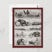 ヴィンテージサーカスの動物とペニーのファニー ポストカード (正面/裏面)