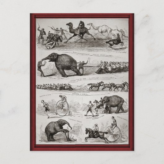 ヴィンテージサーカスの動物とペニーのファニー ポストカード (正面)