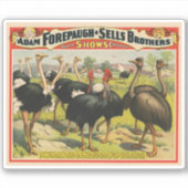 ヴィンテージサーカスはダチョウと大きな鳥を示している。 シール (正面)