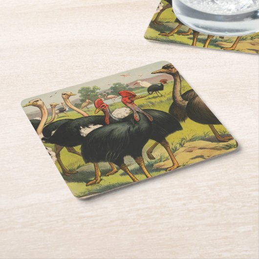 ヴィンテージサーカスはダチョウと大きな鳥を示している。 スクエアペーパーコースター (アングル)