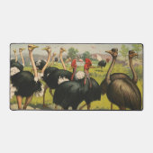 ヴィンテージサーカスはダチョウと大きな鳥を示している。 デスクマット (正面)