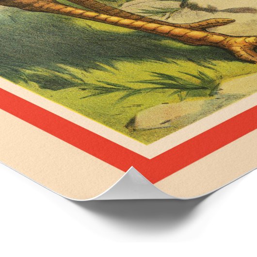 ヴィンテージサーカスはダチョウと大きな鳥を示している。 ポスター (角)