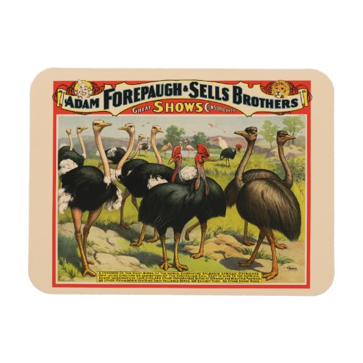ヴィンテージサーカスはダチョウと大きな鳥を示している。 マグネット (横)