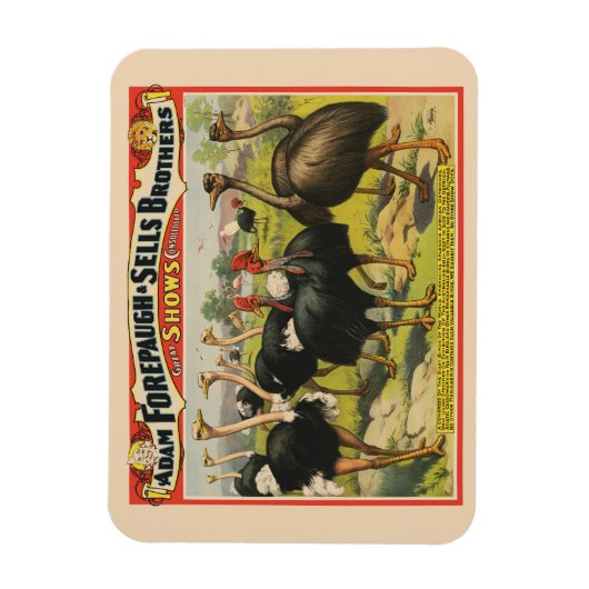 ヴィンテージサーカスはダチョウと大きな鳥を示している。 マグネット (縦)