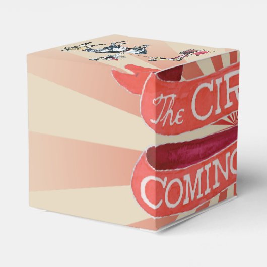 ヴィンテージサーカスフェイスボックス フェイバーボックス (裏面サイド)