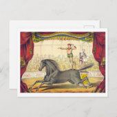 ヴィンテージサーカスポスター馬術はがき ポストカード (正面/裏面)