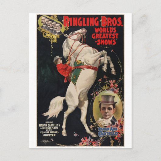 ヴィンテージサーカス動物行為促進 ポストカード (正面)