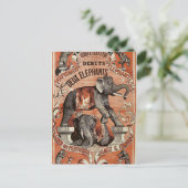 ヴィンテージサーカス象ショーはがき ポストカード (スタンド正面)