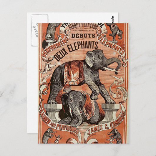 ヴィンテージサーカス象ショーはがき ポストカード (正面/裏面)