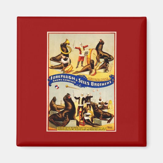 ヴィンテージサーカス – アシカとアザラシ マグネット (正面)