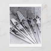 ヴィンテージサーフレディース多くのビーチオーストラリアはがき ポストカード (正面)