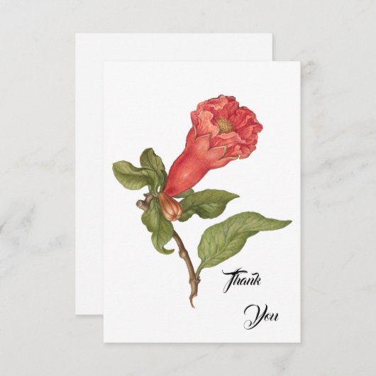 ヴィンテージザクロ花咲きイラストレーション サンキューカード (正面/裏面)