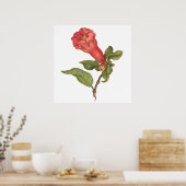 ヴィンテージザクロ花咲きイラストレーション ポスター (キッチン)