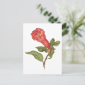 ヴィンテージザクロ花咲きイラストレーション ポストカード (スタンド正面)