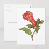 ヴィンテージザクロ花咲きイラストレーション ポストカード (正面/裏面)