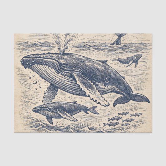 ヴィンテージザトウクジラの群れの彫刻 薄葉紙 (正面)