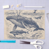 ヴィンテージザトウクジラの群れの彫刻 薄葉紙 (クラフト)