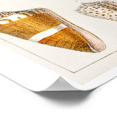 ヴィンテージシェルイラストレーションポスター ポスター (角)