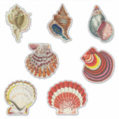 ヴィンテージシェルシールセット シール (正面)