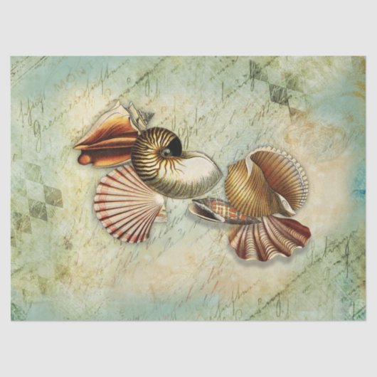 ヴィンテージシェルズデコページティッシュペーパー 薄葉紙 (正面)