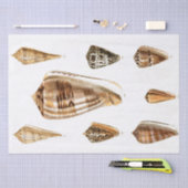 ヴィンテージシェルリングティッシュペーパー 薄葉紙 (クラフト)