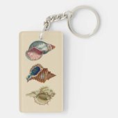 ヴィンテージシェル キーホルダー (裏面)