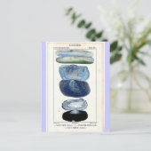 ヴィンテージシェル ポストカード (スタンド正面)