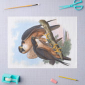 ヴィンテージシェーン《鳥》ハヤブサ鳥のデコパージュ 薄葉紙 (クラフト)